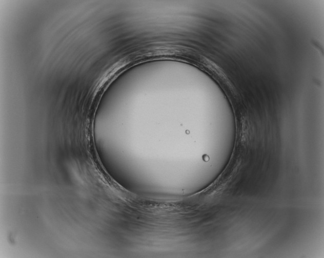 X0000101680786200807101143