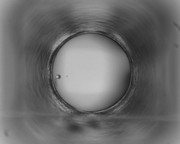 X0000101680787200807101143