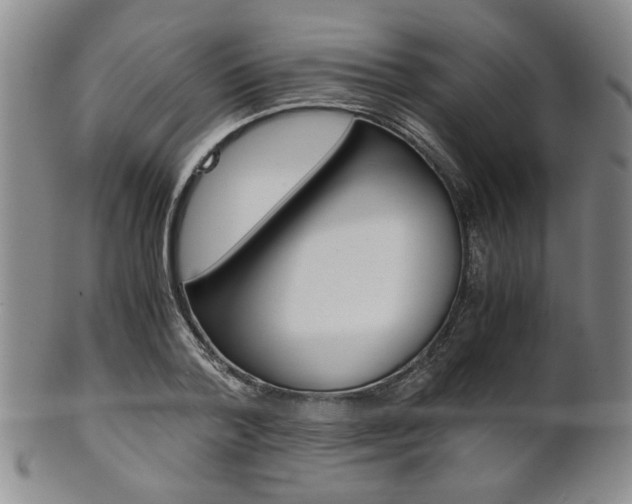 X0000101680788200807101143