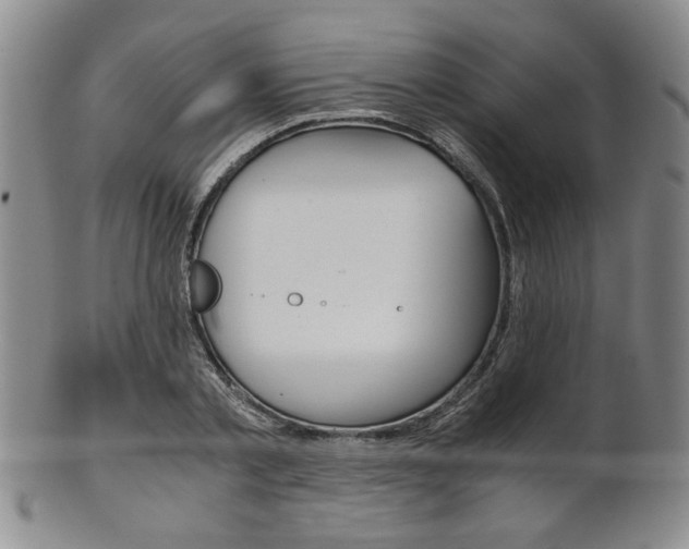 X0000101680789200807101143