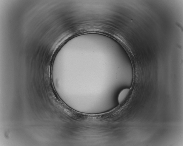 X0000101680790200807101143