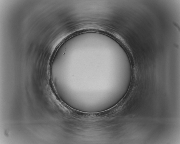 X0000101680791200807101143