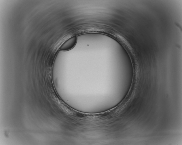 X0000101680793200807101143
