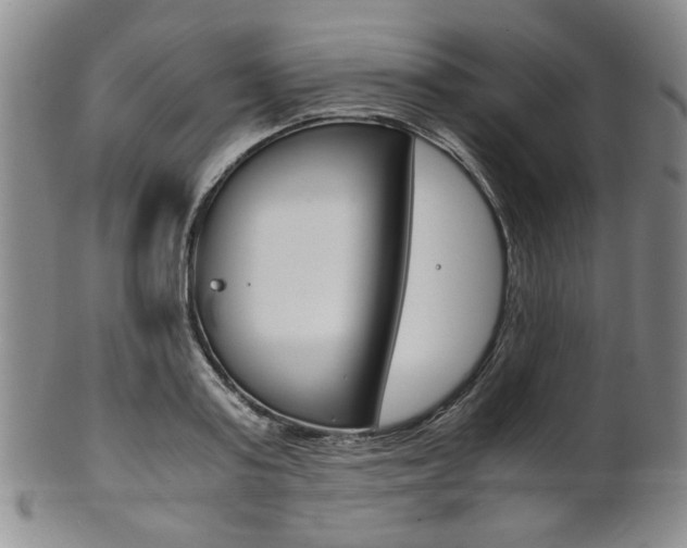X0000101680795200807101143