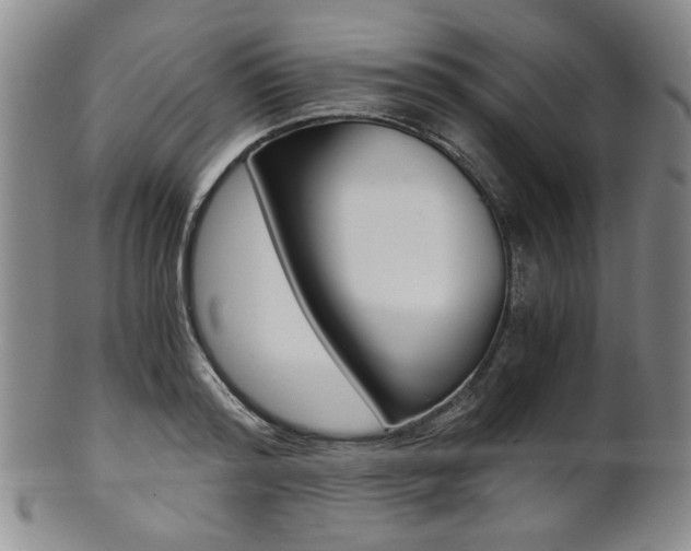 X0000101680796200807101143