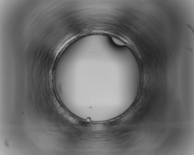X0000101680798200807101143