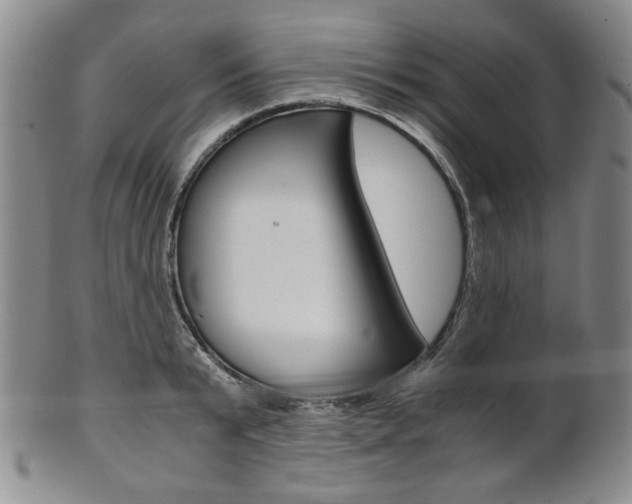 X0000101680799200807101143