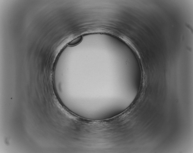 X0000101680805200807101143