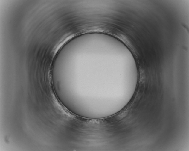 X0000101680806200807101143