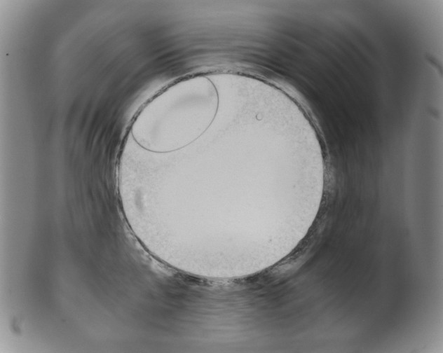 X0000101680807200807101143