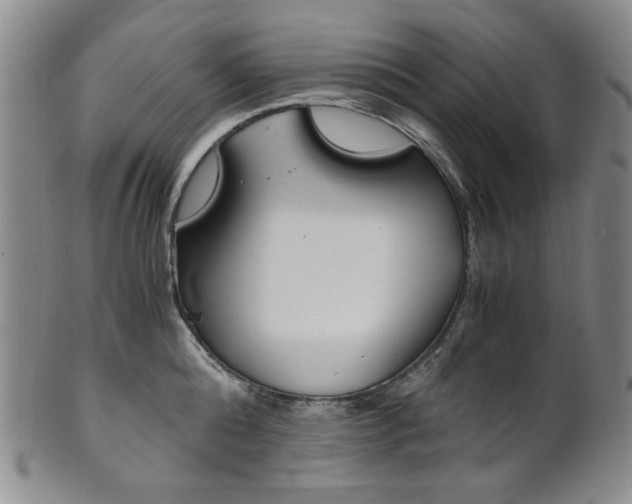 X0000101680808200807101143