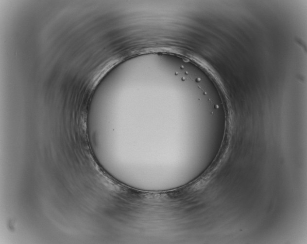 X0000101680809200807101143