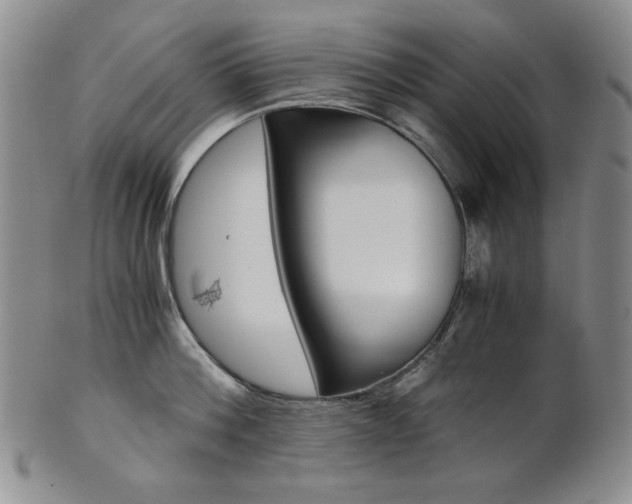 X0000101680812200807101143