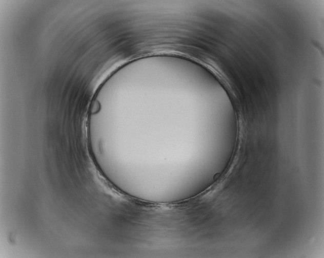X0000101680814200807101143