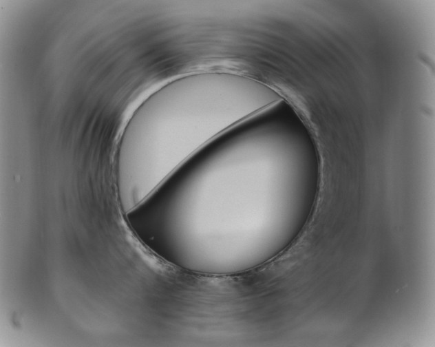 X0000101680816200807101143