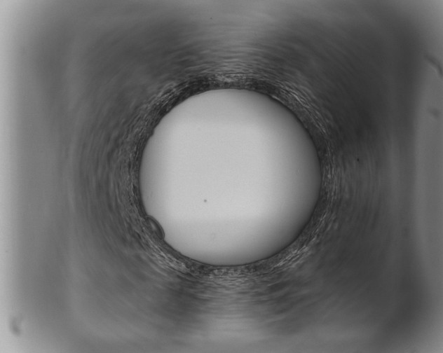X0000101680817200807101142