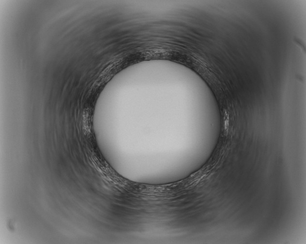 X0000101680819200807101142