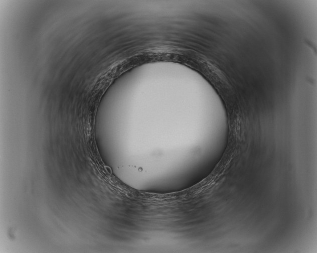 X0000101680821200807101142