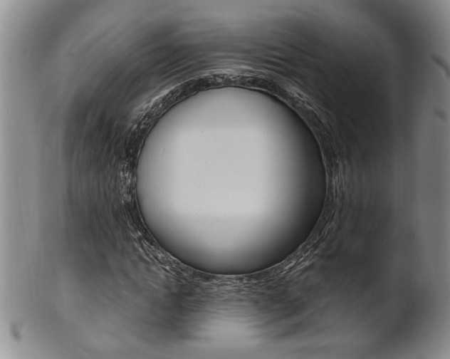 X0000101680822200807101142