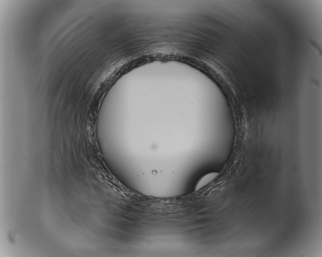 X0000101680823200807101142