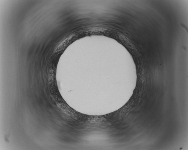X0000101680824200807101142