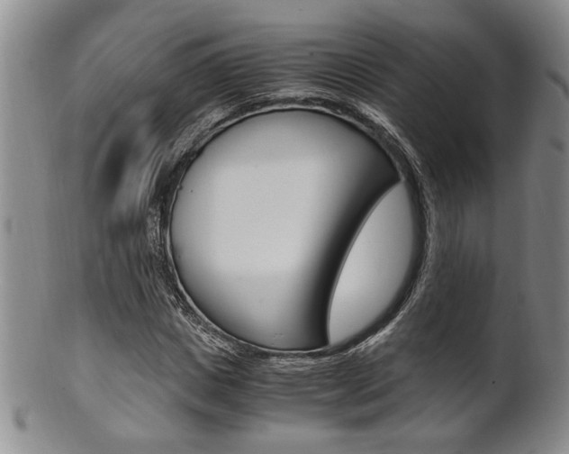 X0000101680825200807101142