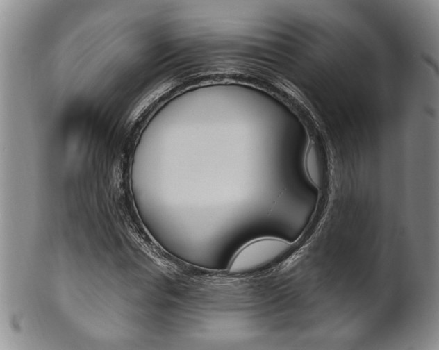 X0000101680826200807101142