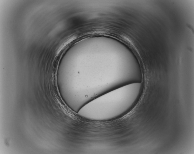 X0000101680827200807101142
