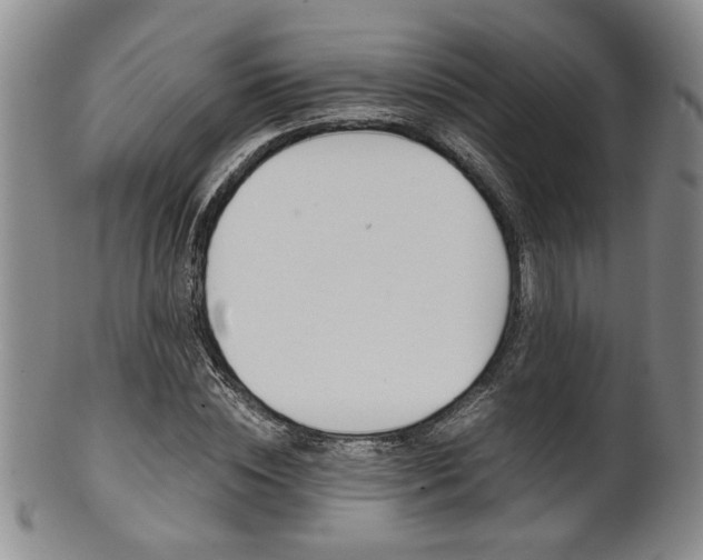 X0000101680828200807101142