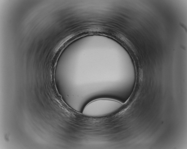 X0000101680829200807101142