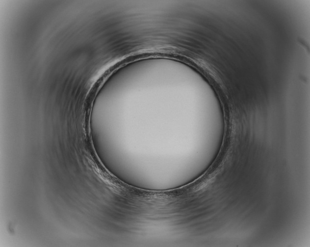 X0000101680830200807101142