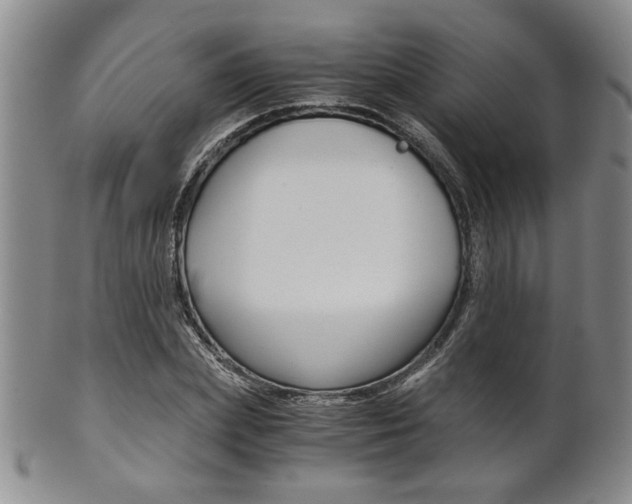 X0000101680831200807101142