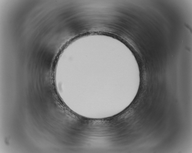 X0000101680832200807101142
