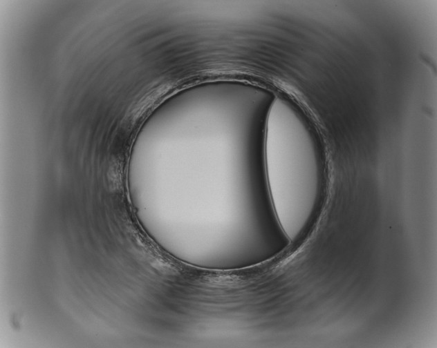 X0000101680833200807101142