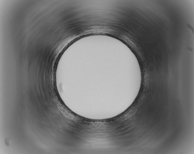 X0000101680836200807101142