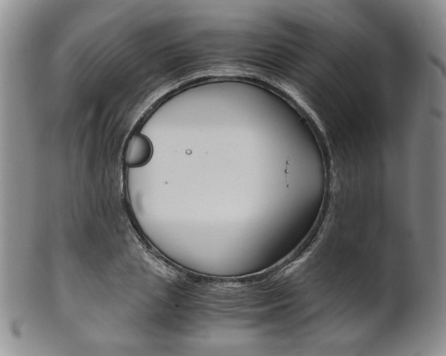 X0000101680837200807101142