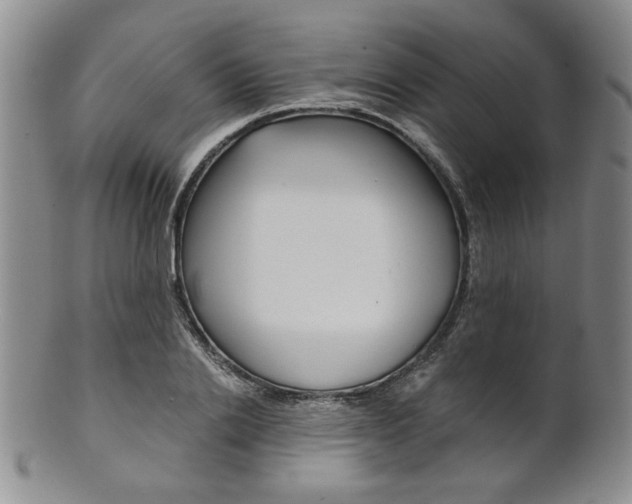 X0000101680838200807101142