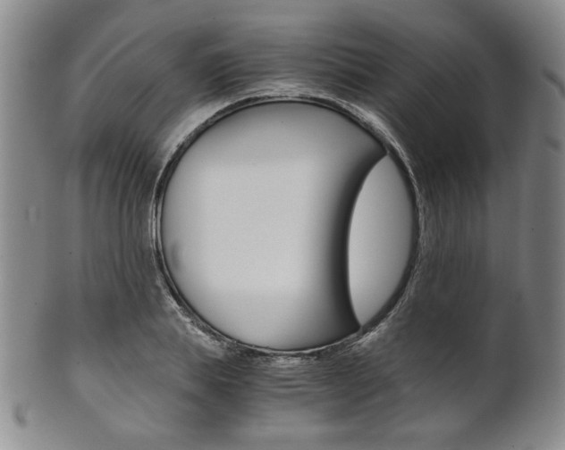 X0000101680839200807101142