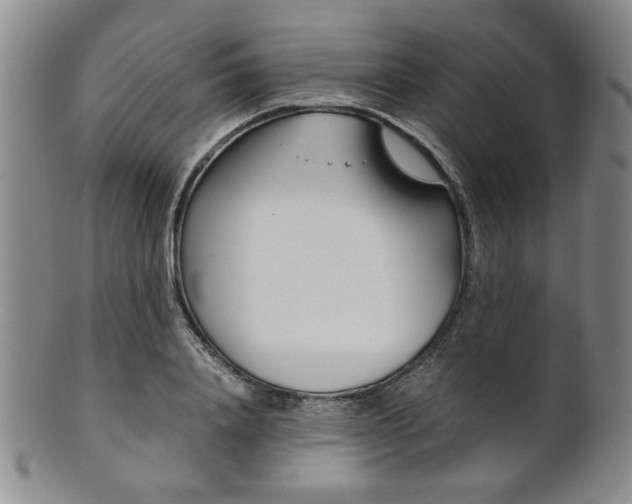 X0000101680840200807101142