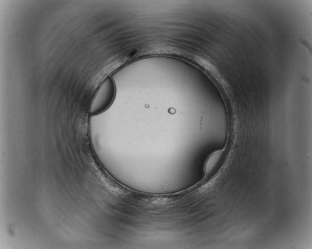 X0000101680841200807101142