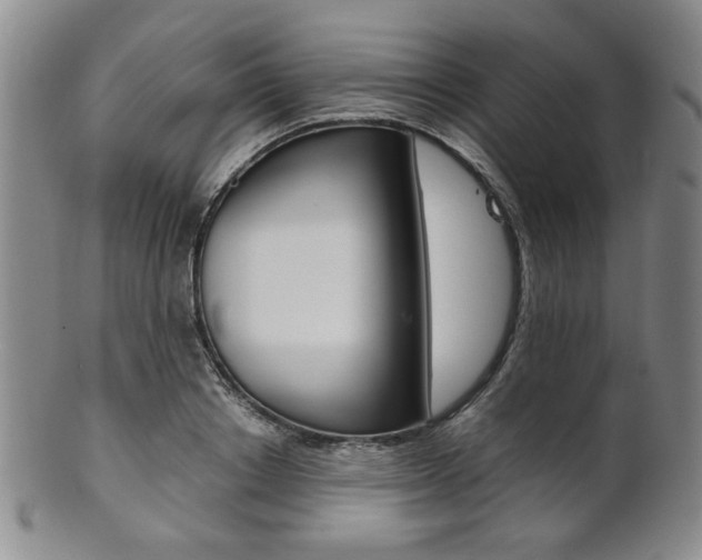 X0000101680842200807101142