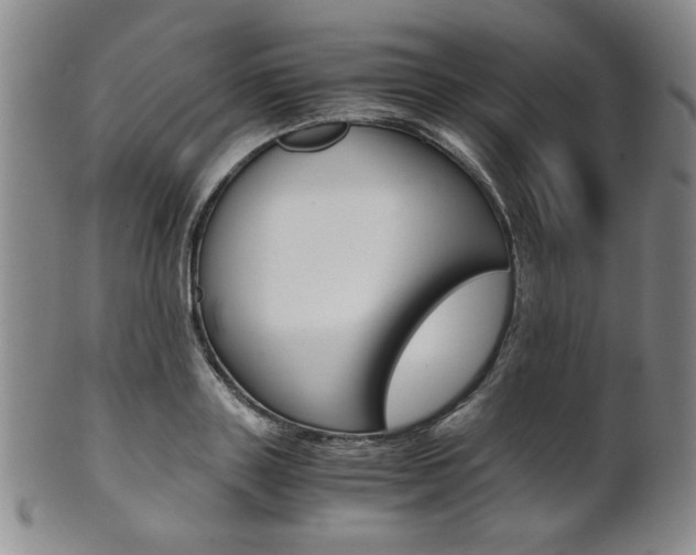 X0000101680843200807101142