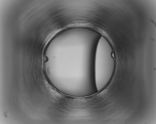 X0000101680844200807101142