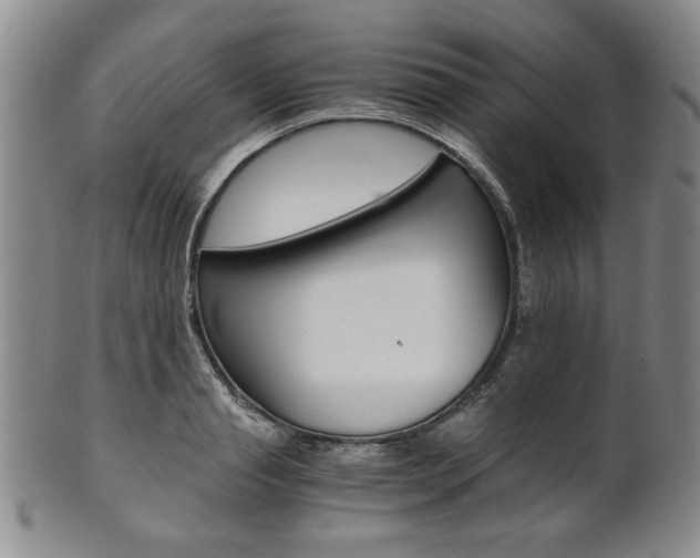 X0000101680845200807101142
