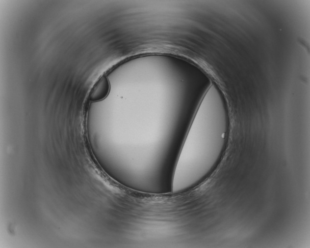 X0000101680846200807101142