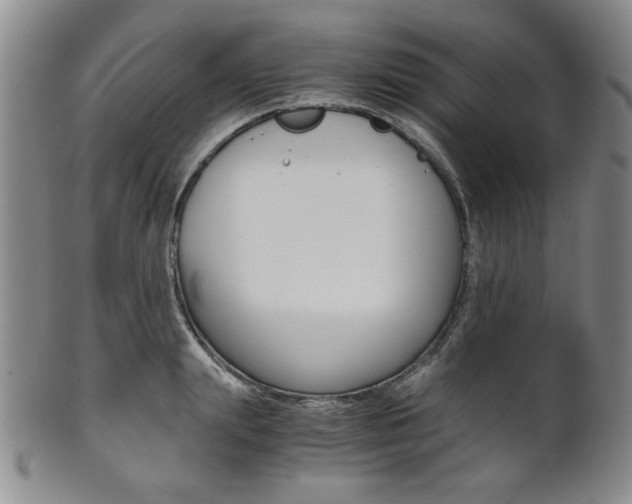 X0000101680847200807101142