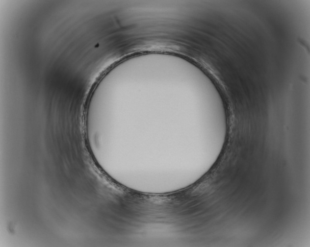 X0000101680848200807101142