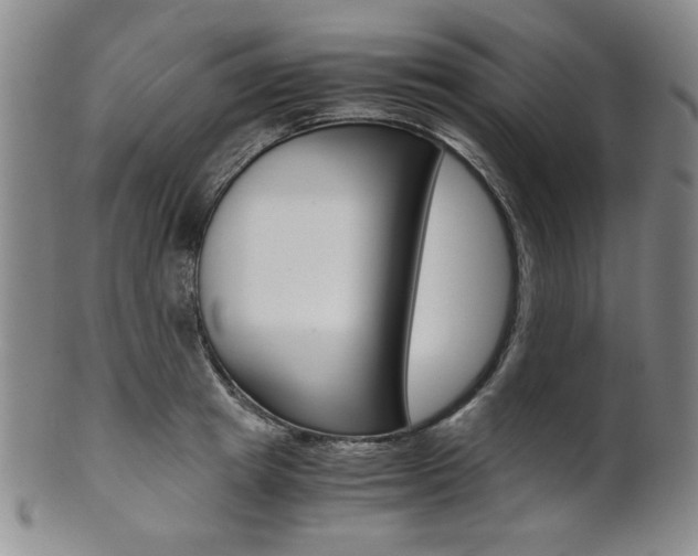 X0000101680849200807101142
