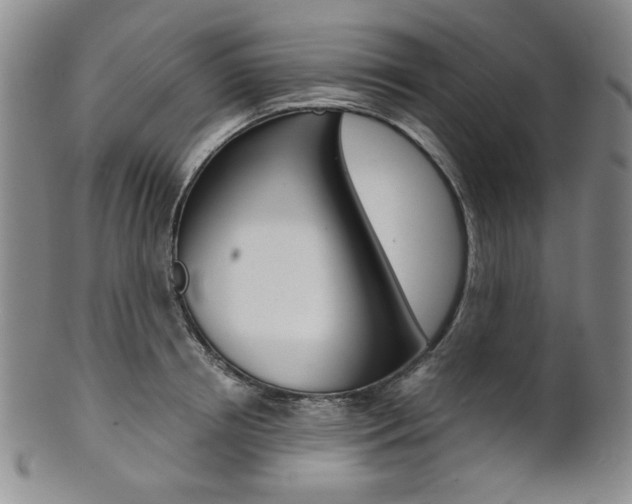 X0000101680850200807101143