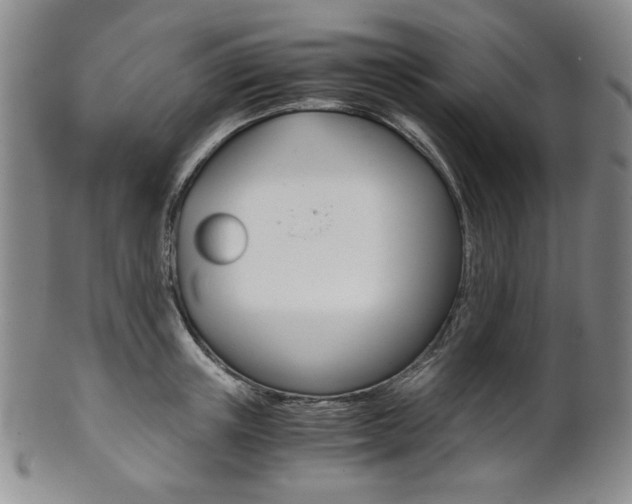 X0000101680851200807101143